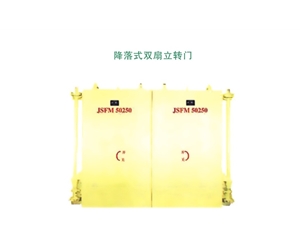 河北降落式双扇立转门